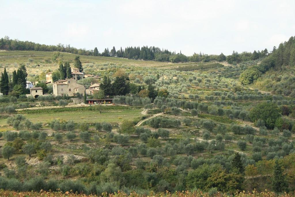 Agriturismo Podere Somigli Di Lorenzo Correani Hotel Greve in Chianti Eksteriør billede