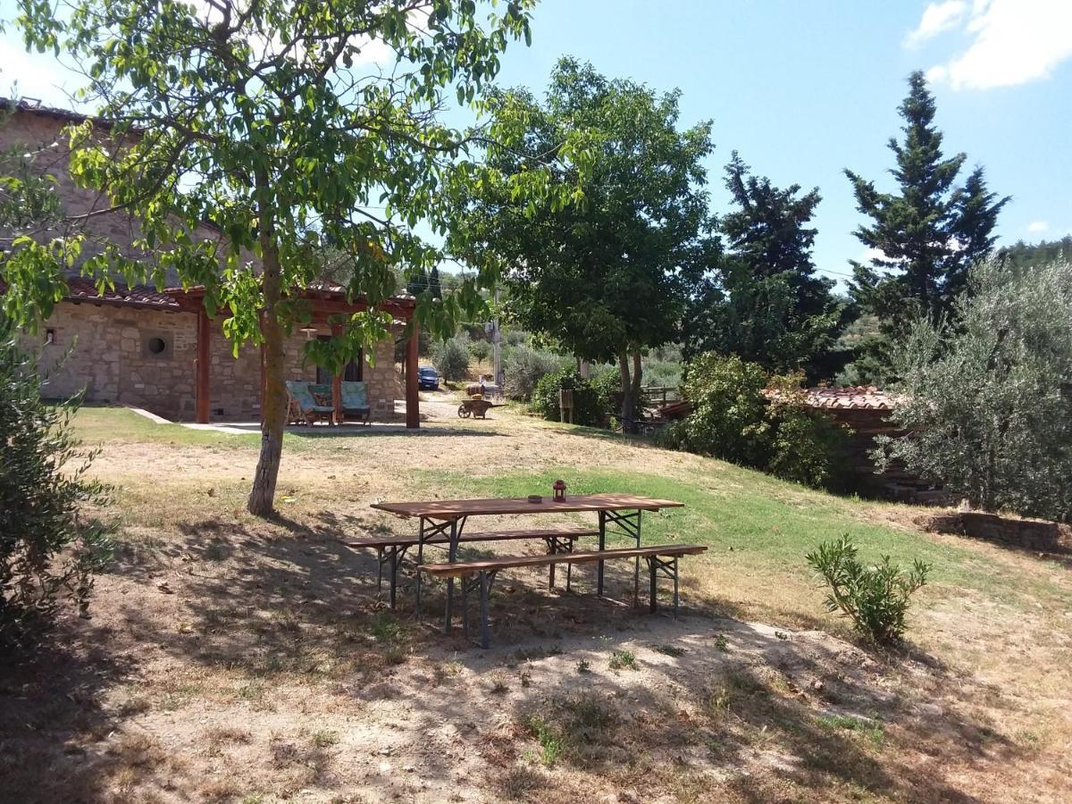 Agriturismo Podere Somigli Di Lorenzo Correani Hotel Greve in Chianti Eksteriør billede