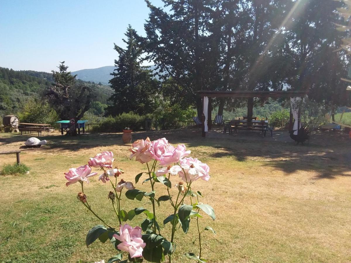 Agriturismo Podere Somigli Di Lorenzo Correani Hotel Greve in Chianti Eksteriør billede